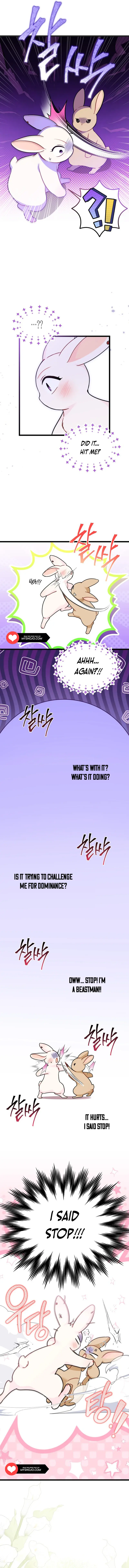The Symbiotic Relationship Between the Rabbit and the Black Panther Chapter 155 Page 8