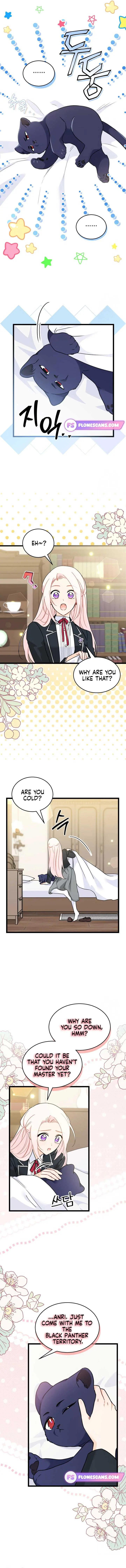 The Symbiotic Relationship Between the Rabbit and the Black Panther Chapter 165 Page 6