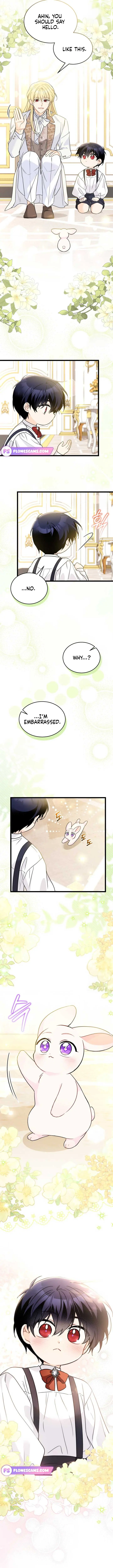The Symbiotic Relationship Between the Rabbit and the Black Panther Chapter 168 Page 5