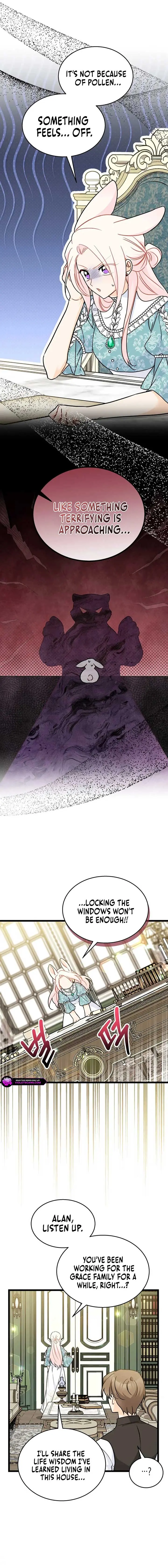 The Symbiotic Relationship Between the Rabbit and the Black Panther Chapter 178 Page 11