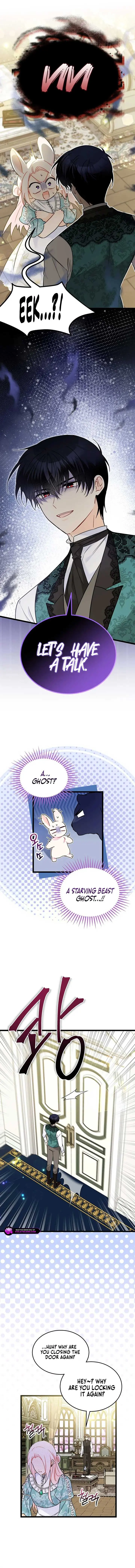 The Symbiotic Relationship Between the Rabbit and the Black Panther Chapter 178 Page 13
