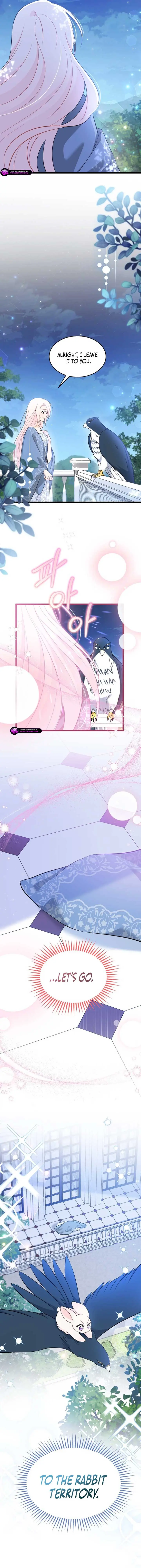 The Symbiotic Relationship Between the Rabbit and the Black Panther Chapter 185 Page 3