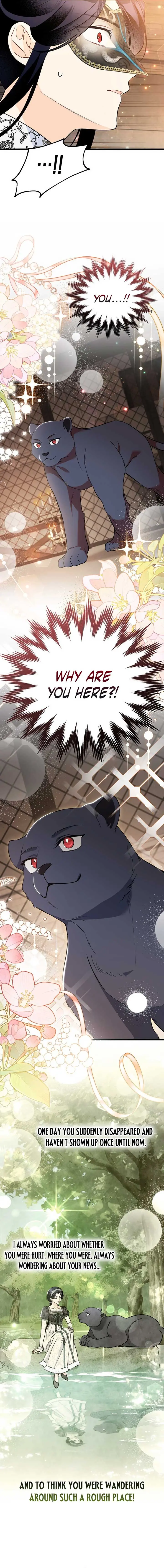 The Symbiotic Relationship Between the Rabbit and the Black Panther Chapter 186 Page 13