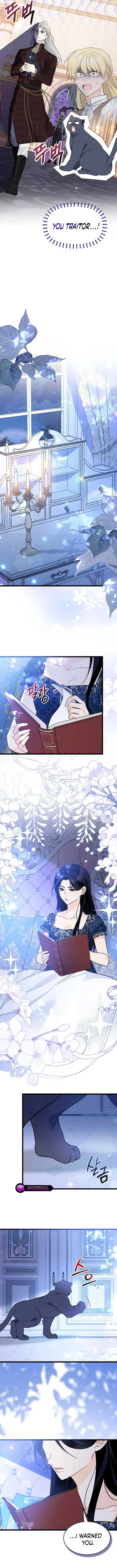 The Symbiotic Relationship Between the Rabbit and the Black Panther Chapter 187 Page 11