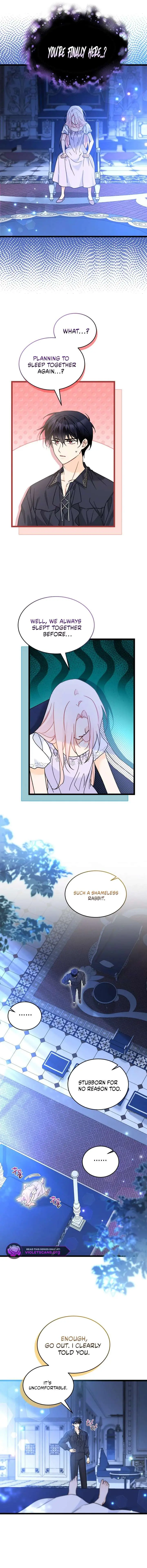 The Symbiotic Relationship Between the Rabbit and the Black Panther Chapter 198 Page 12