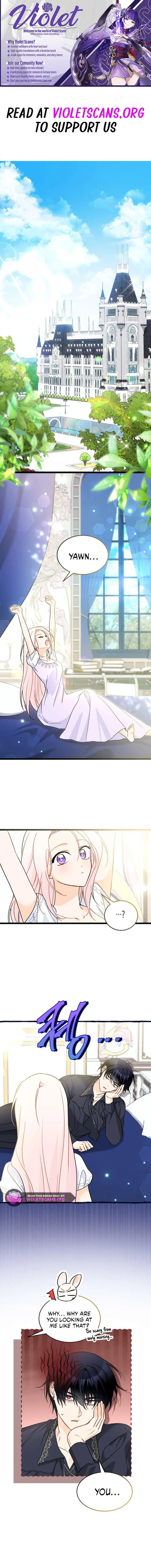 The Symbiotic Relationship Between the Rabbit and the Black Panther Chapter 200 Page 2