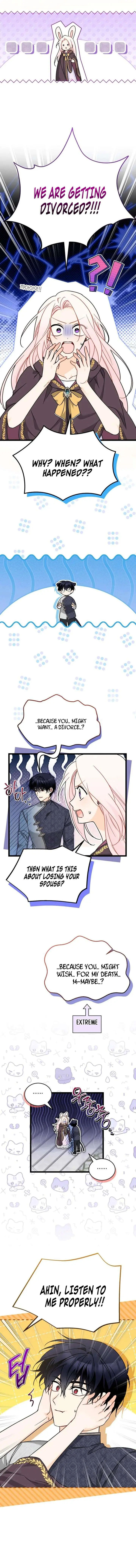 The Symbiotic Relationship Between the Rabbit and the Black Panther Chapter 206 Page 5