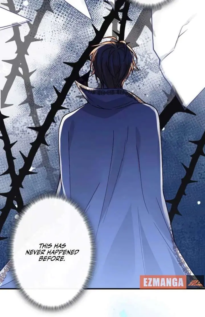 The Tyrant's Guardian is an Evil Witch Chapter 15 Page 31