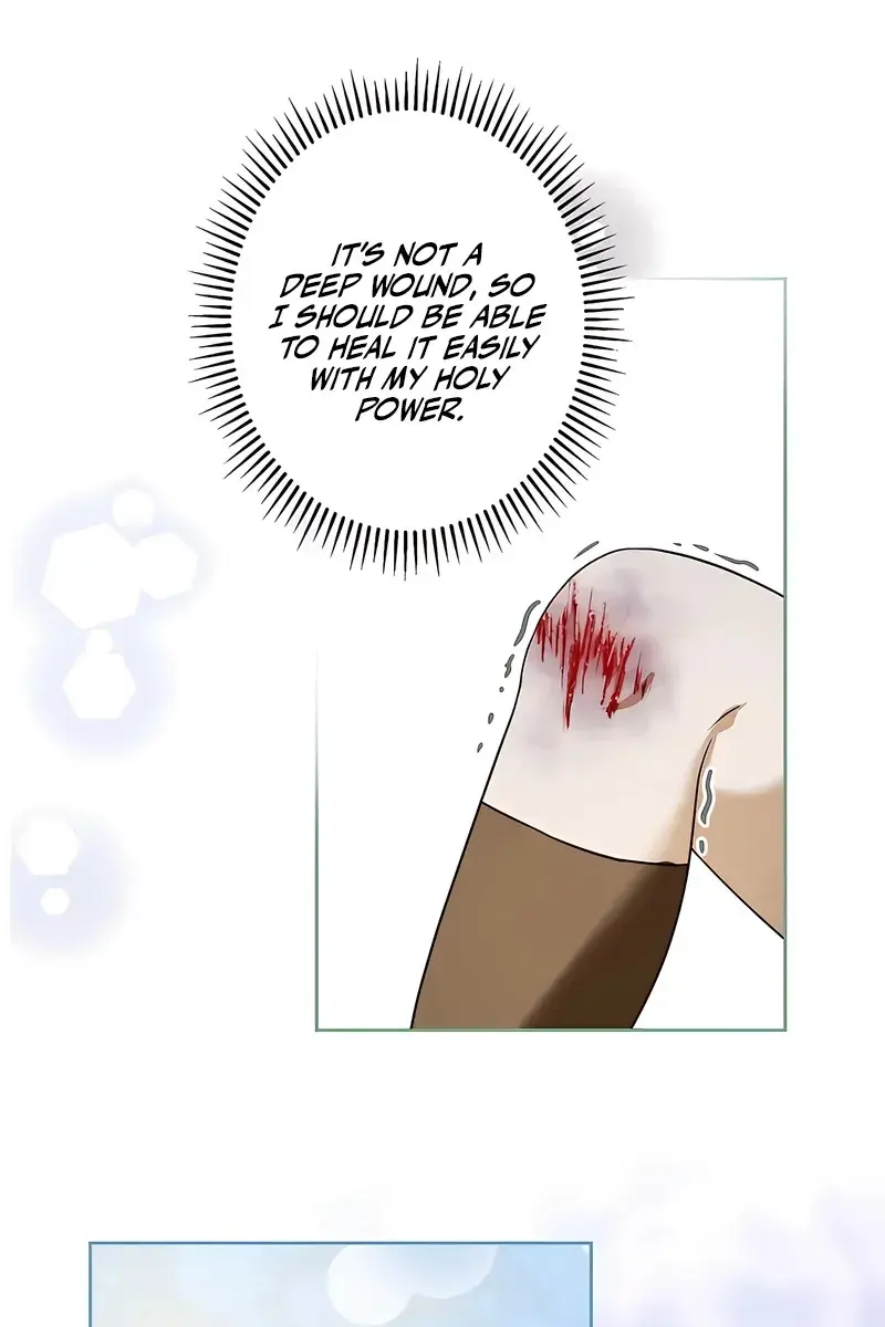 The Villainous Priestess Doesn't Want Salvation Chapter 5 Page 17