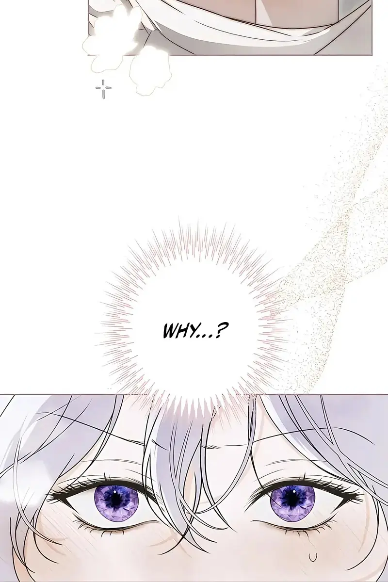 The Villainous Priestess Doesn't Want Salvation Chapter 11 Page 3