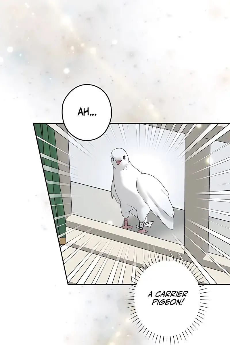 The Villainous Priestess Doesn't Want Salvation Chapter 13 Page 39