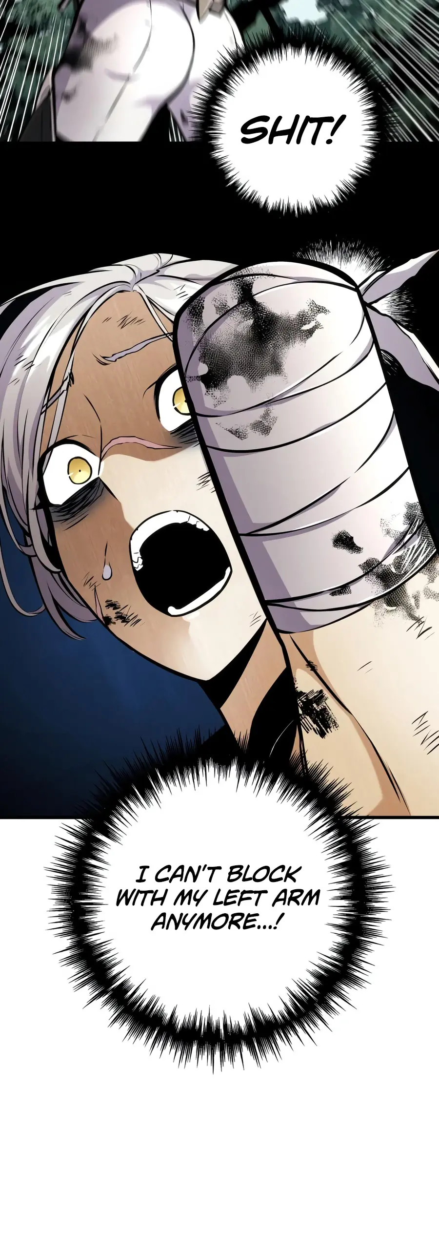 The Wandering Knight's Survival Manual Chapter 52 Page 14