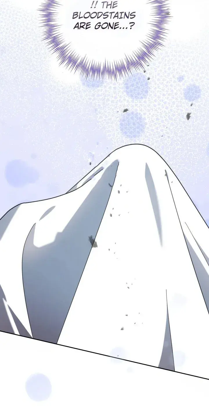 The Overflowing Elixir of the Fallen House Chapter 98 Page 47
