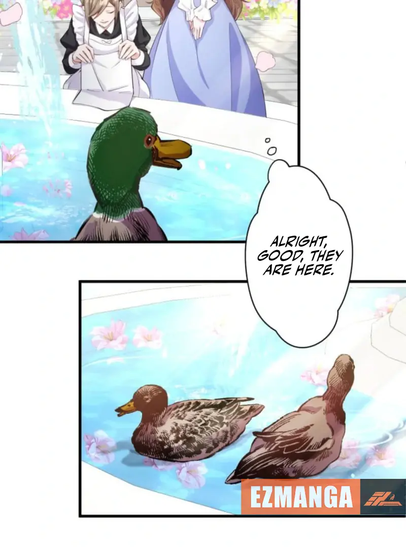 Today I Demand Quality of Death From You With All Due Respect Chapter 6 Page 17