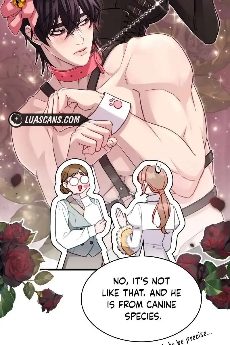 Turning the Mad Dog into a Genteel Lord Chapter 27 Page 46