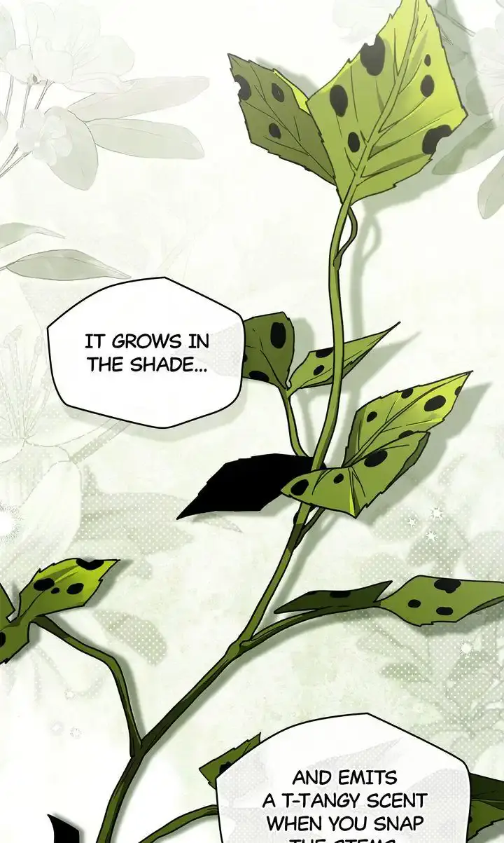 Under the Oak Tree Chapter 117 Page 8