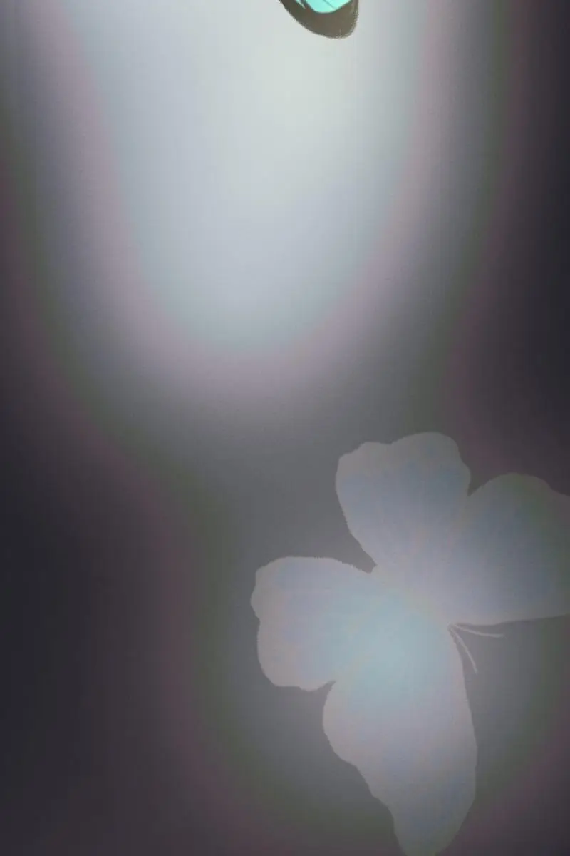 Under the Shade of Wild Roses Chapter 2 Page 42