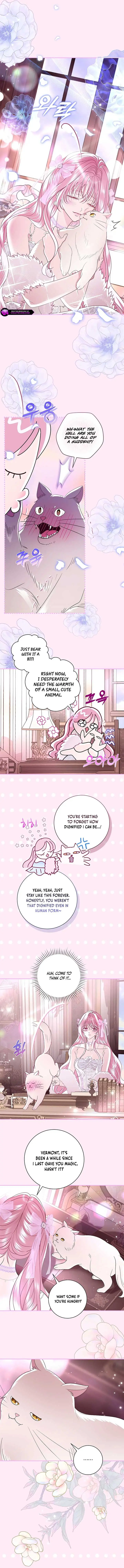 Anything But Marriage, Mr. Villain! Chapter 36 Page 5