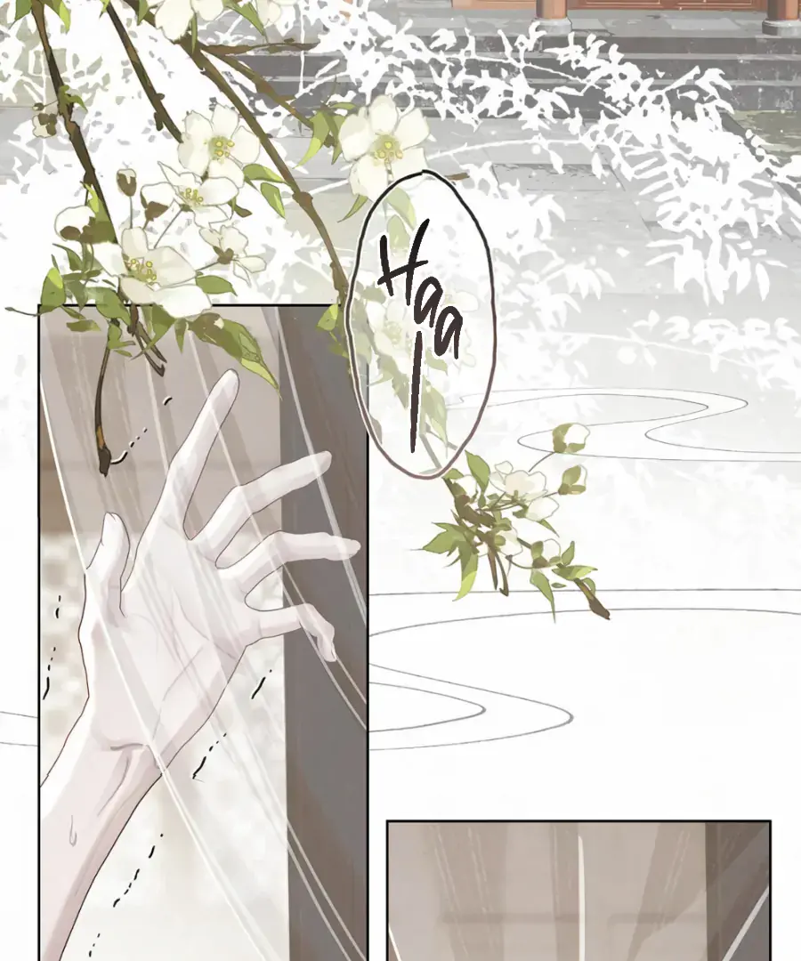 Was His Highness Assassinated Today Chapter 17 Page 8