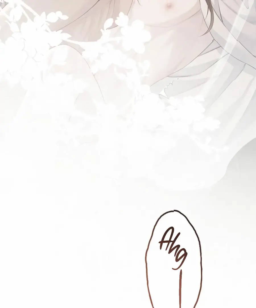 Was His Highness Assassinated Today Chapter 17 Page 16
