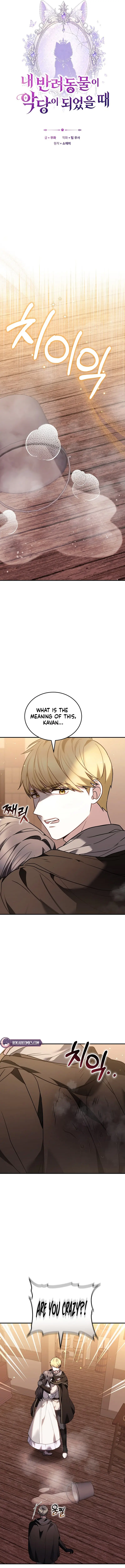 When My Pet Became the Villain Chapter 17 Page 2