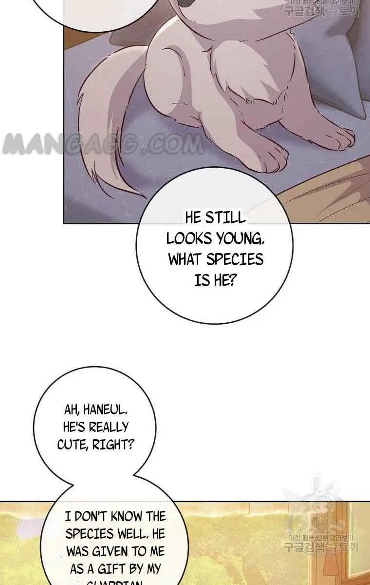 Who Do You Like More, Mommy or Daddy? Chapter 11 Page 17