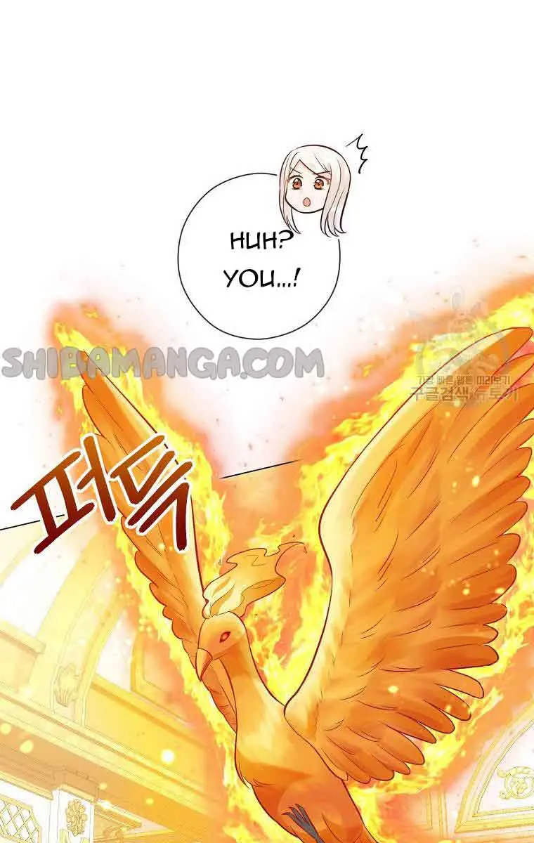 Who Do You Like More, Mommy or Daddy? Chapter 44 Page 69