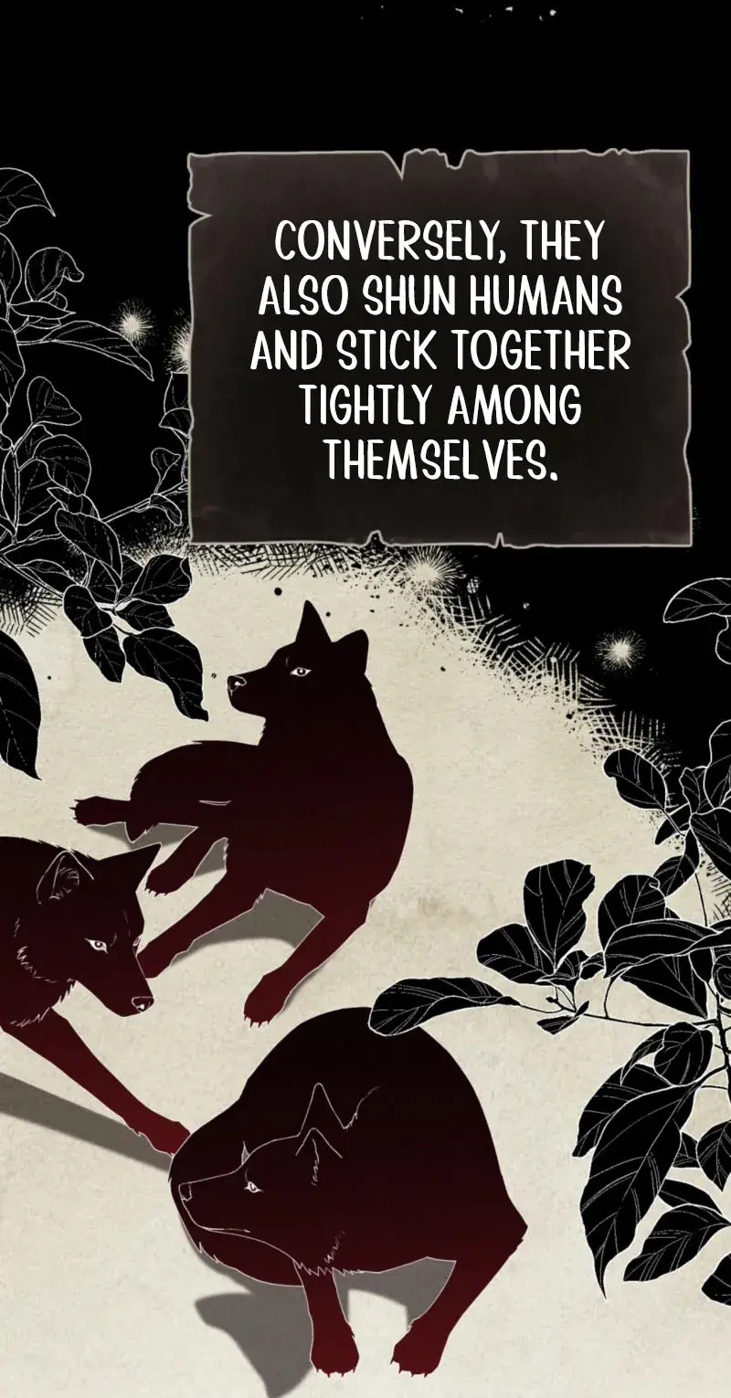 Wolf Groom Chapter 2 Page 7