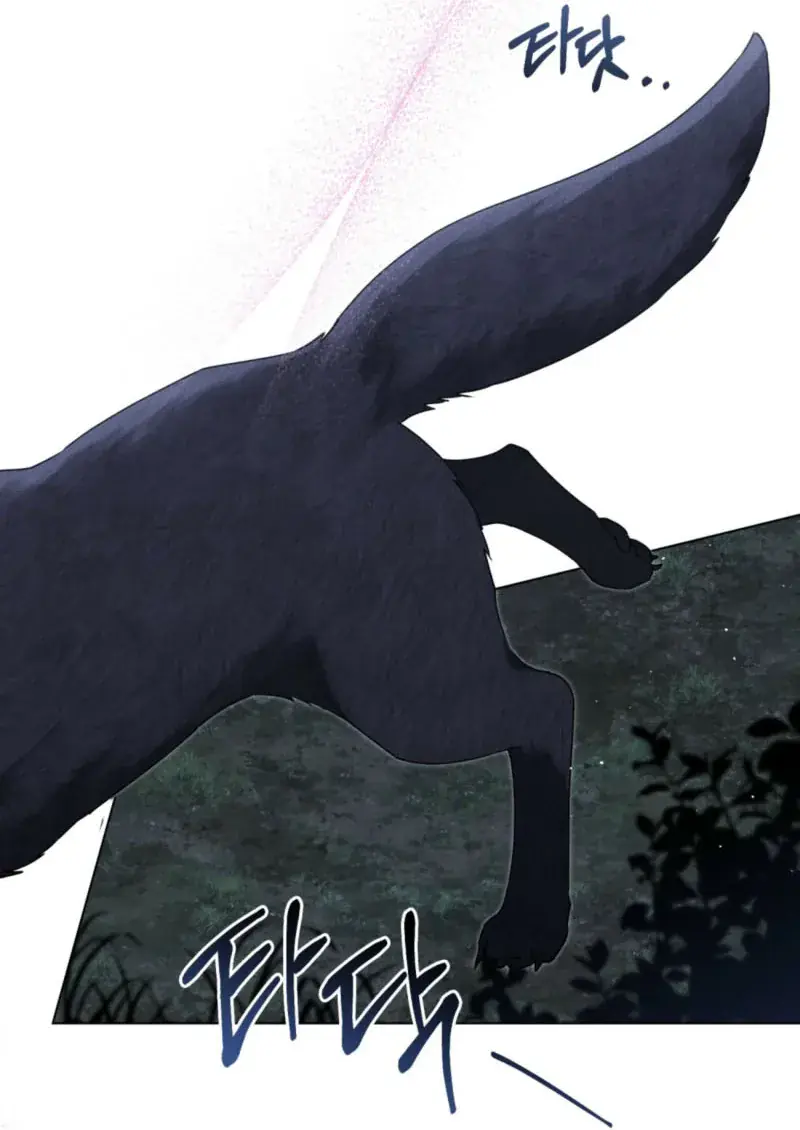 Wolf Groom Chapter 2 Page 69