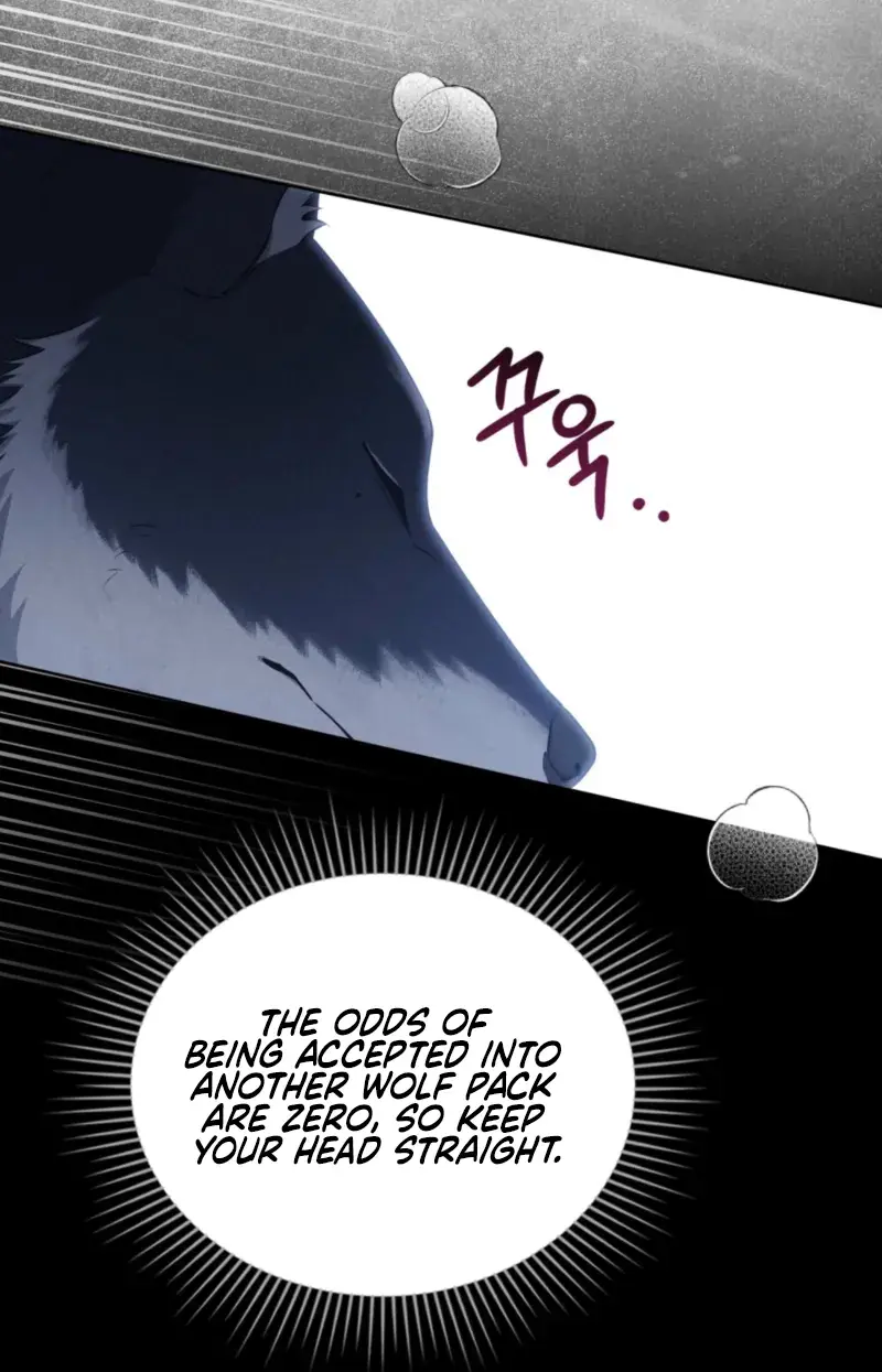 Wolf Groom Chapter 4 Page 81