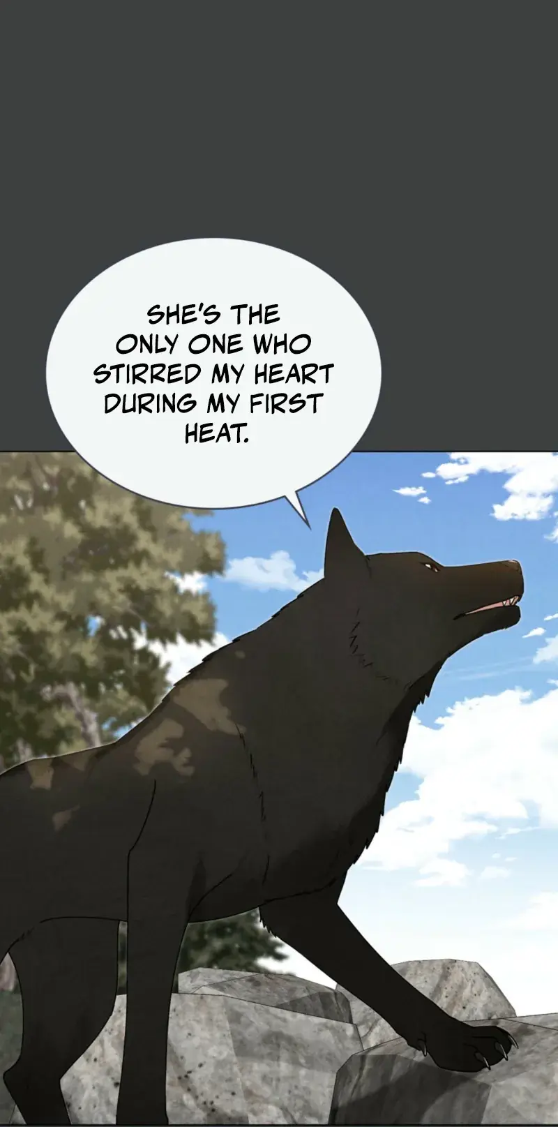 Wolf Groom Chapter 5 Page 31