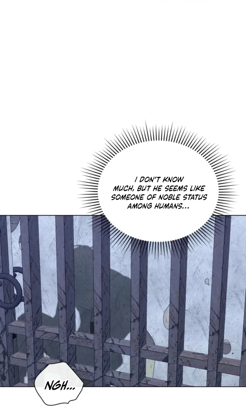 Wolf Groom Chapter 6 Page 64