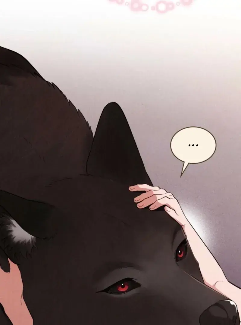 Wolf Groom Chapter 16 Page 48