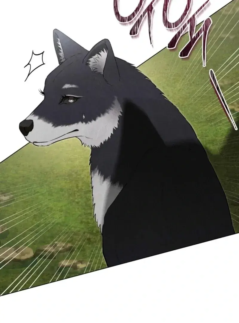 Wolf Groom Chapter 17 Page 19