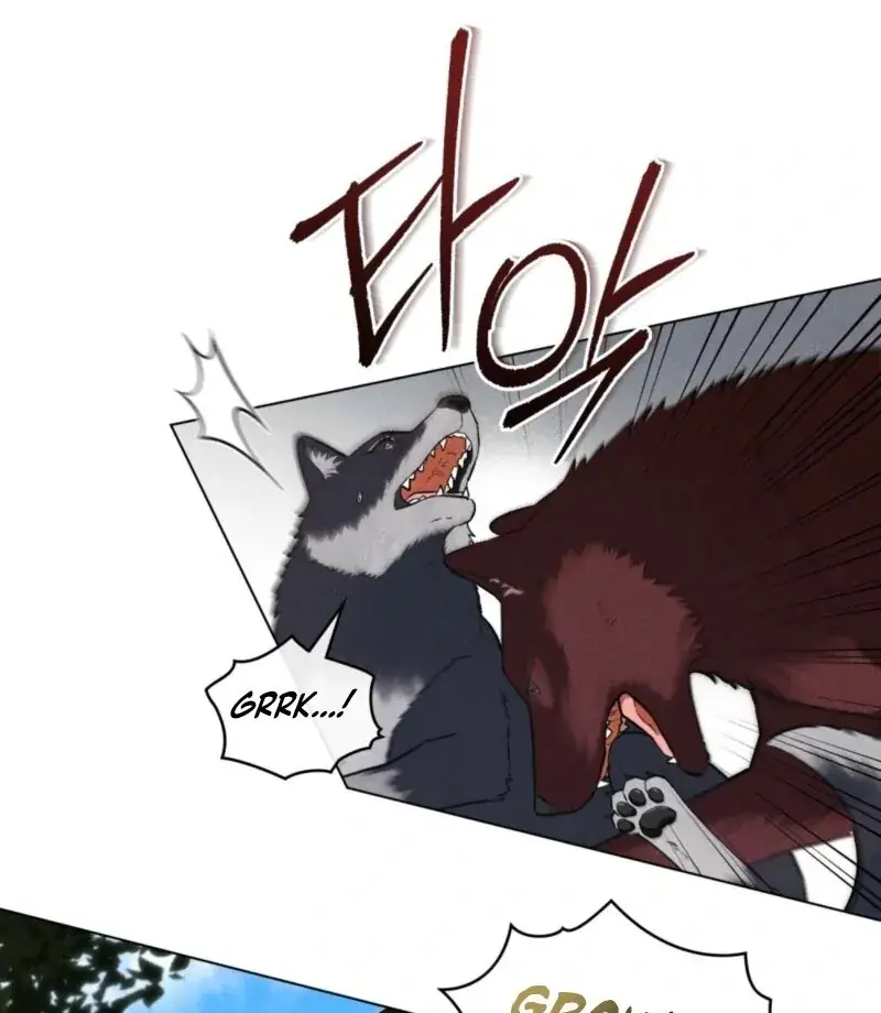 Wolf Groom Chapter 17 Page 20
