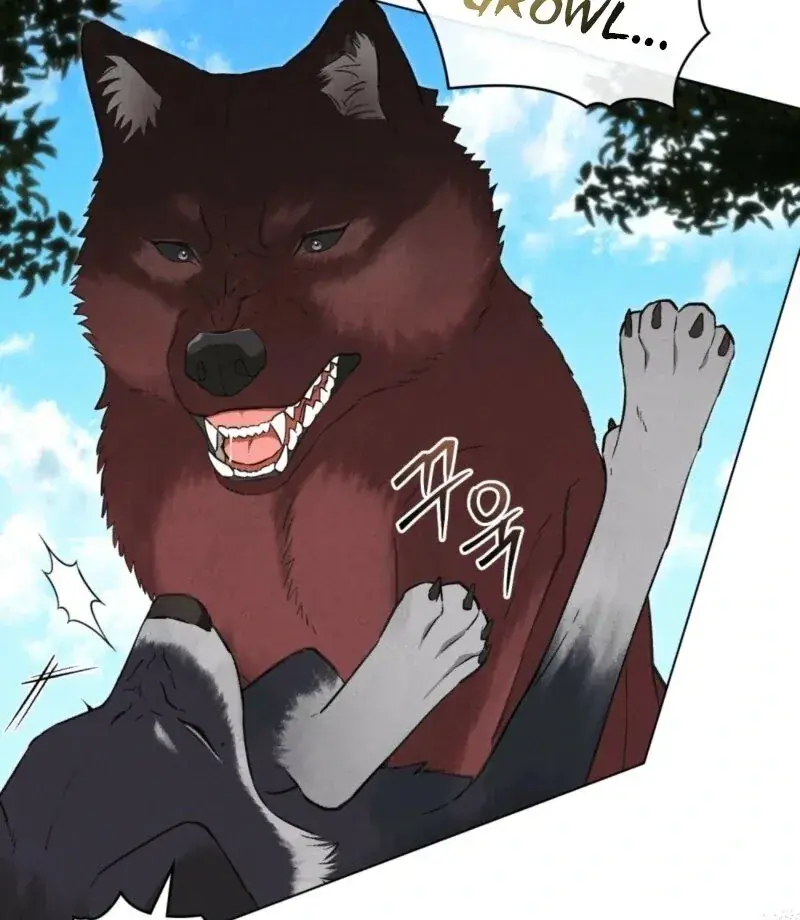 Wolf Groom Chapter 17 Page 21