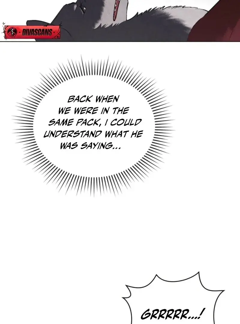 Wolf Groom Chapter 17 Page 23