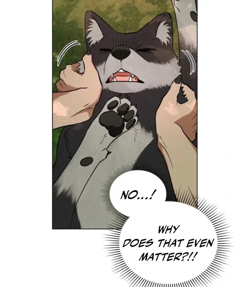 Wolf Groom Chapter 17 Page 29