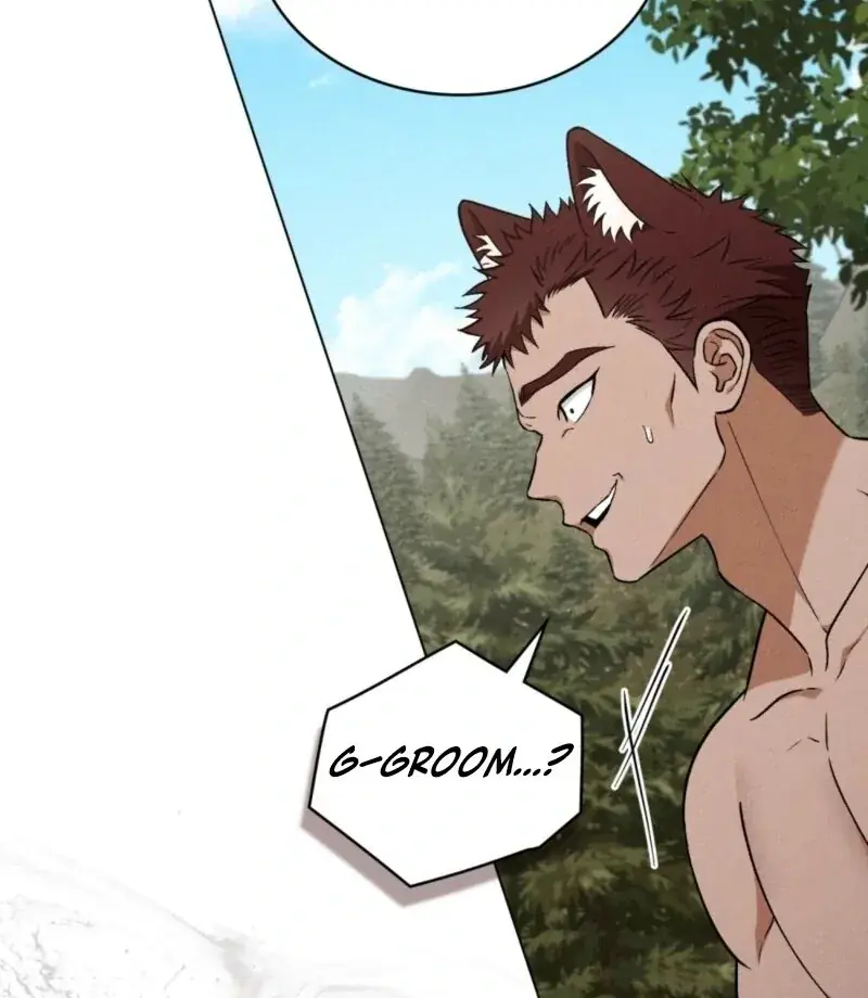 Wolf Groom Chapter 17 Page 46