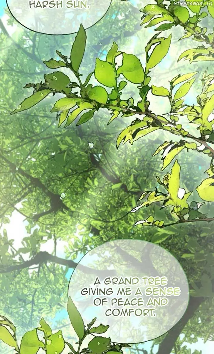 Yeonwoo's Innocence Chapter 181 Page 49